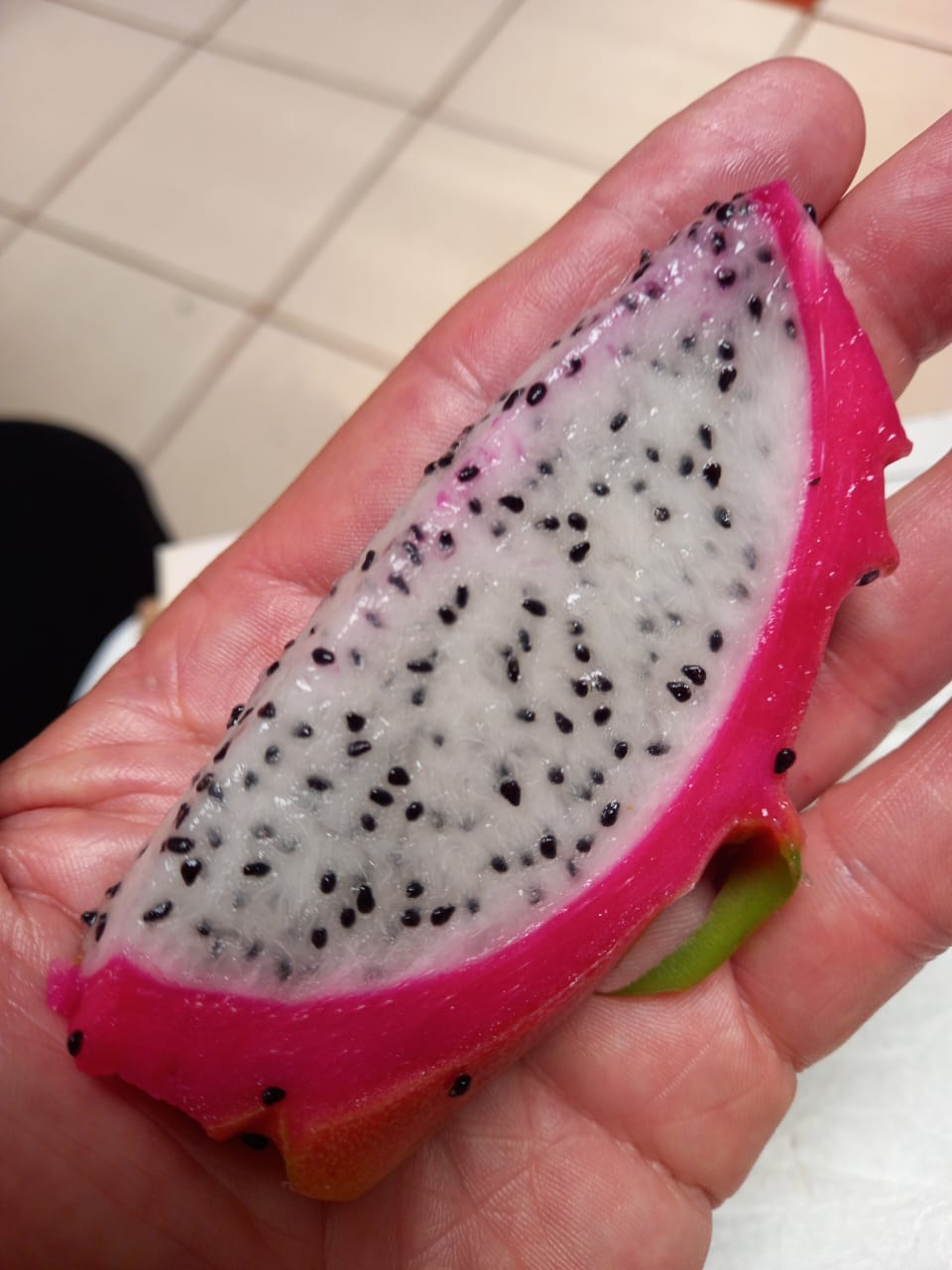 Se constituye en Tacámbaro cooperativa de producción y venta de pitahaya.