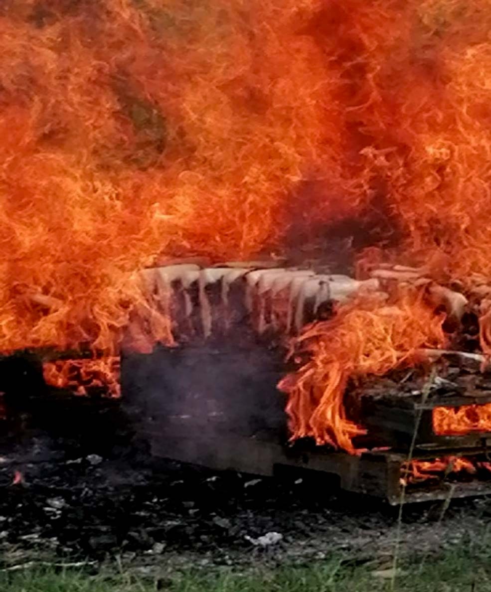 FGR DESTRUYE CERCA DE DOS TONELADAS DE NARCÓTICOS Y MÁS DE MIL PASTILLAS DE PSICOTRÓPICOS