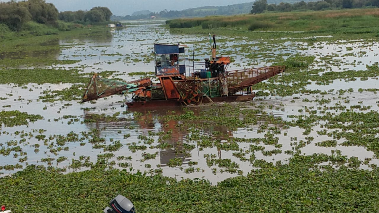 Avanza dragado en canales de navegación del lago de Pátzcuaro.