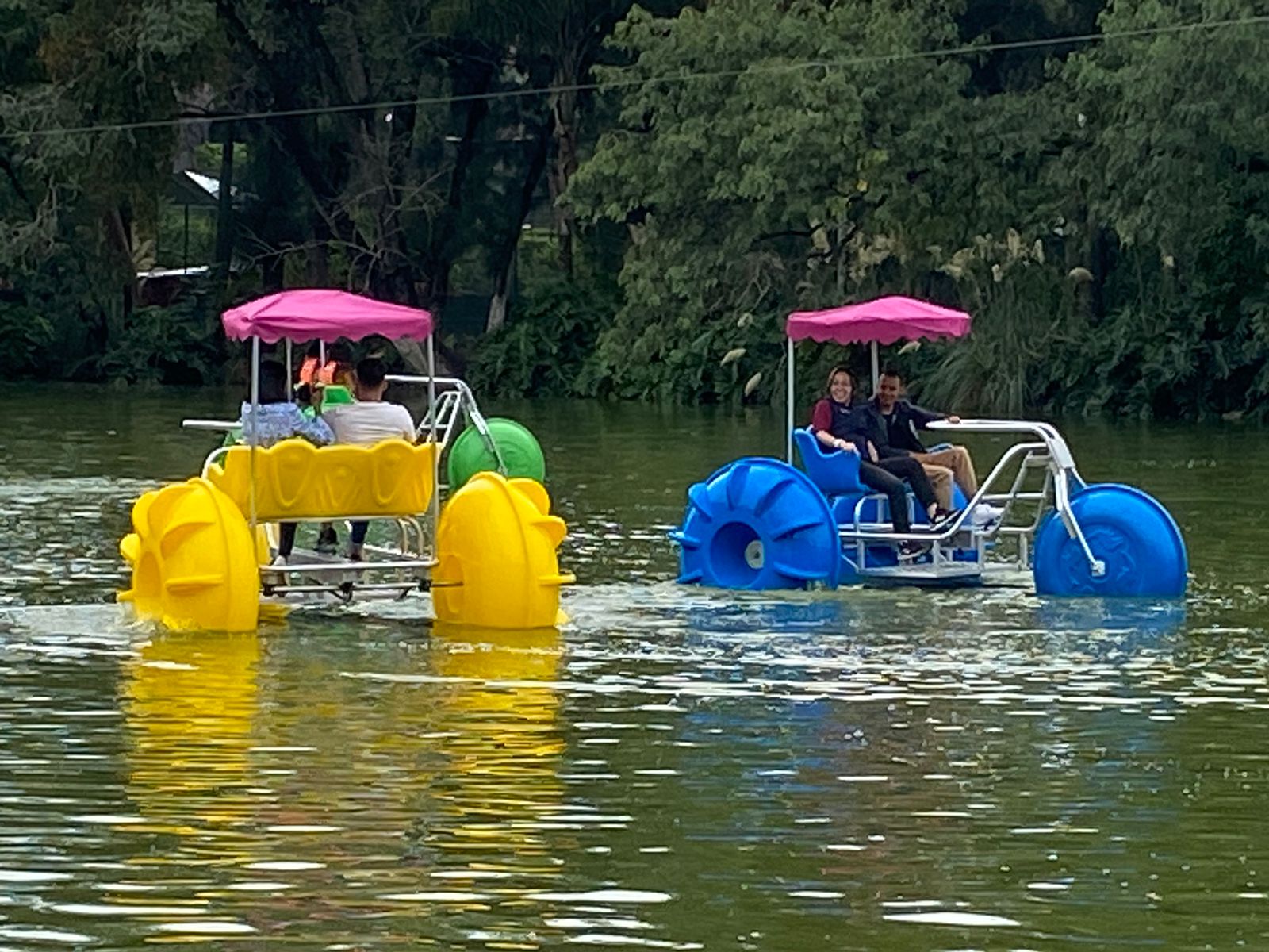 Triciclos acuáticos, el nuevo atractivo del Zoológico de Morelia.