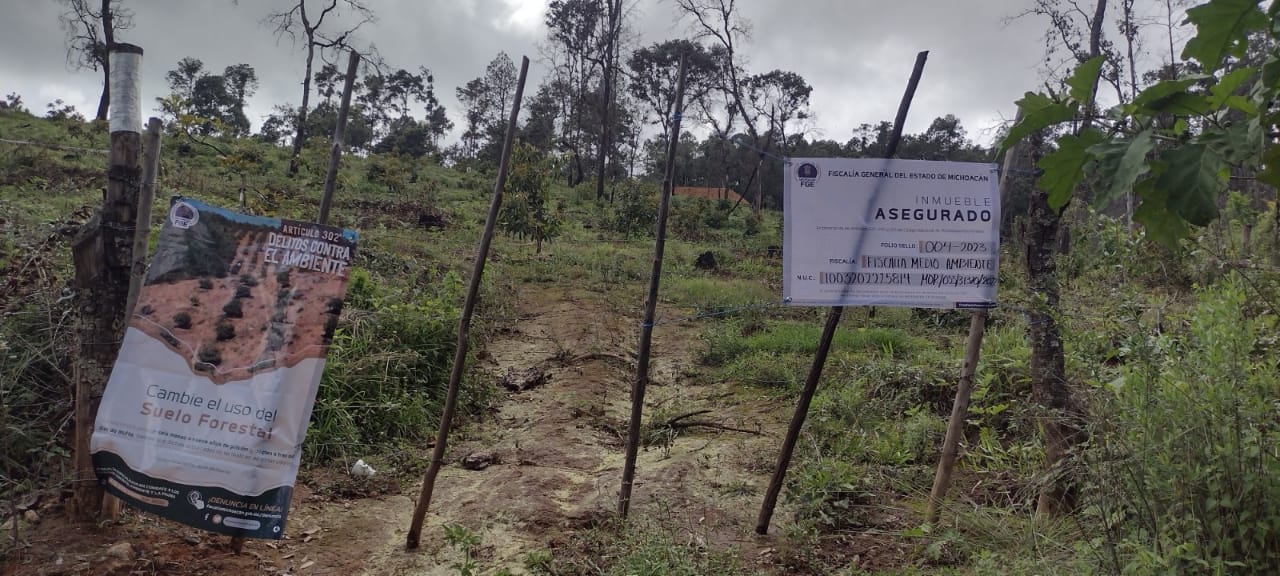 En Madero, asegura FGE predio relacionado en delitos contra el ambiente.