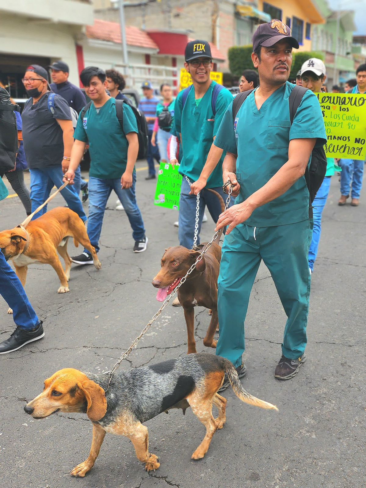 Ven y presume tu mascota, convive y disfruta