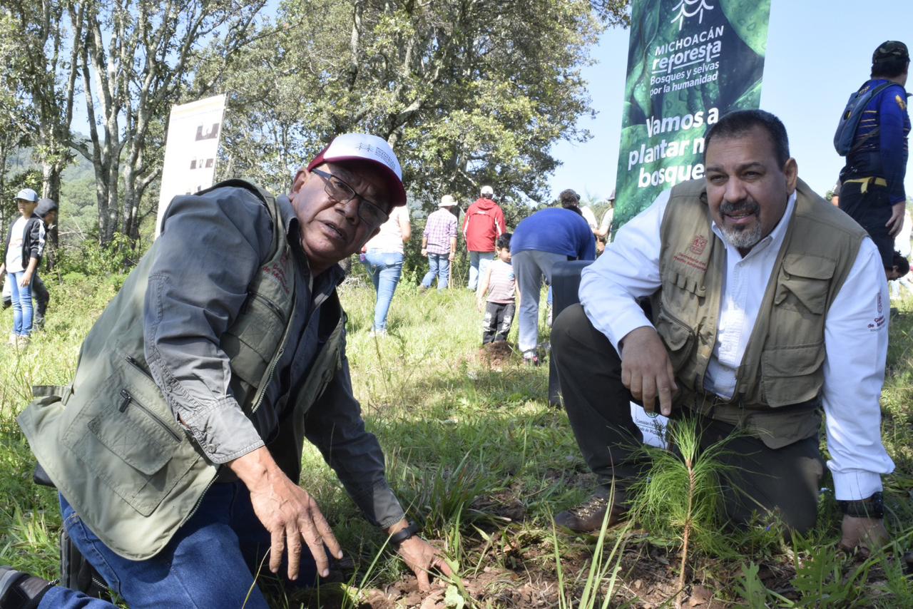 Con más de millón 200 mil árboles plantados, concluye compaña “Bosques y Selvas por la Humanidad”.