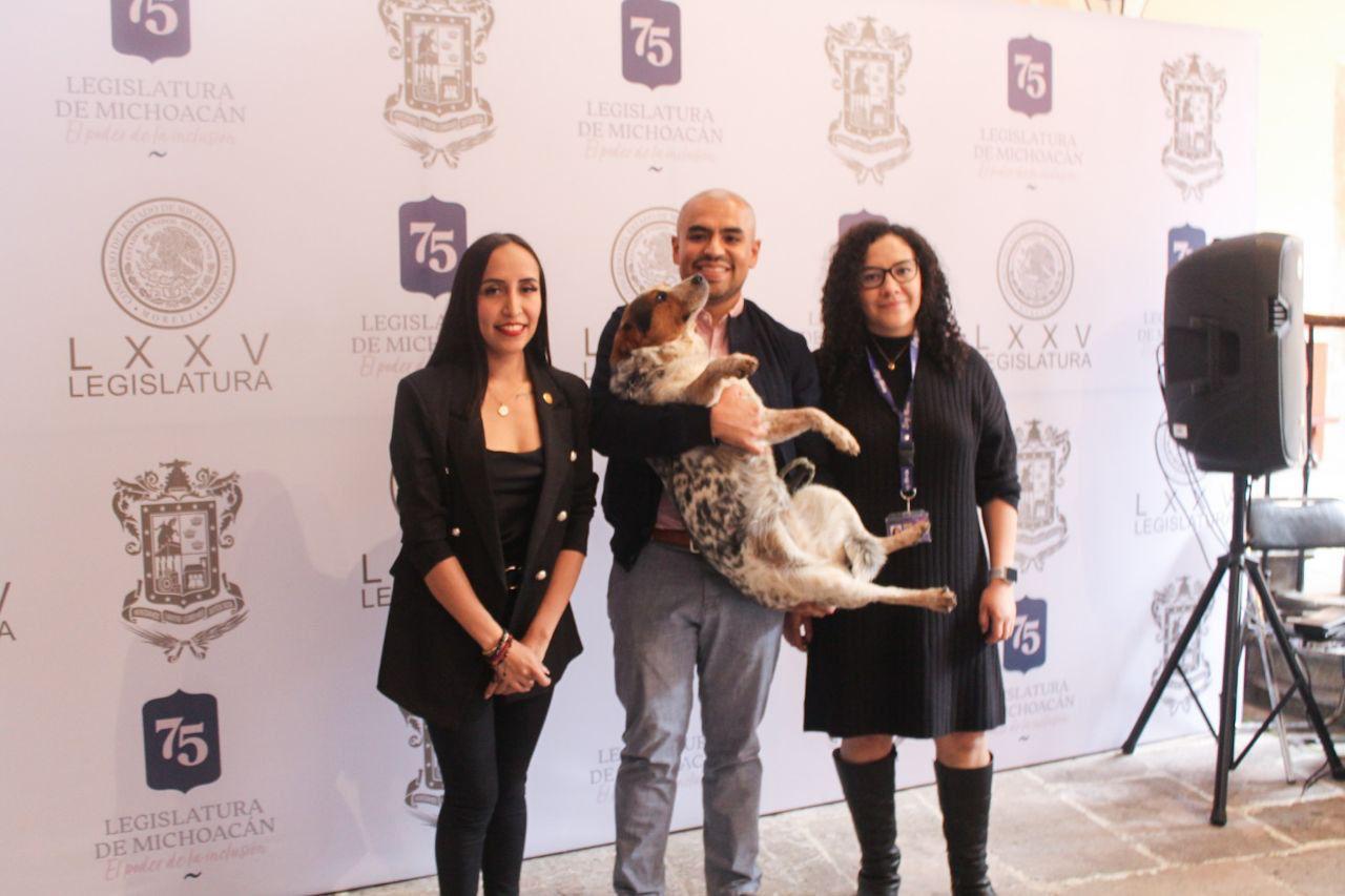 Invitan al Mascota Fest 2023 el sábado 28 octubre, en la Calzada