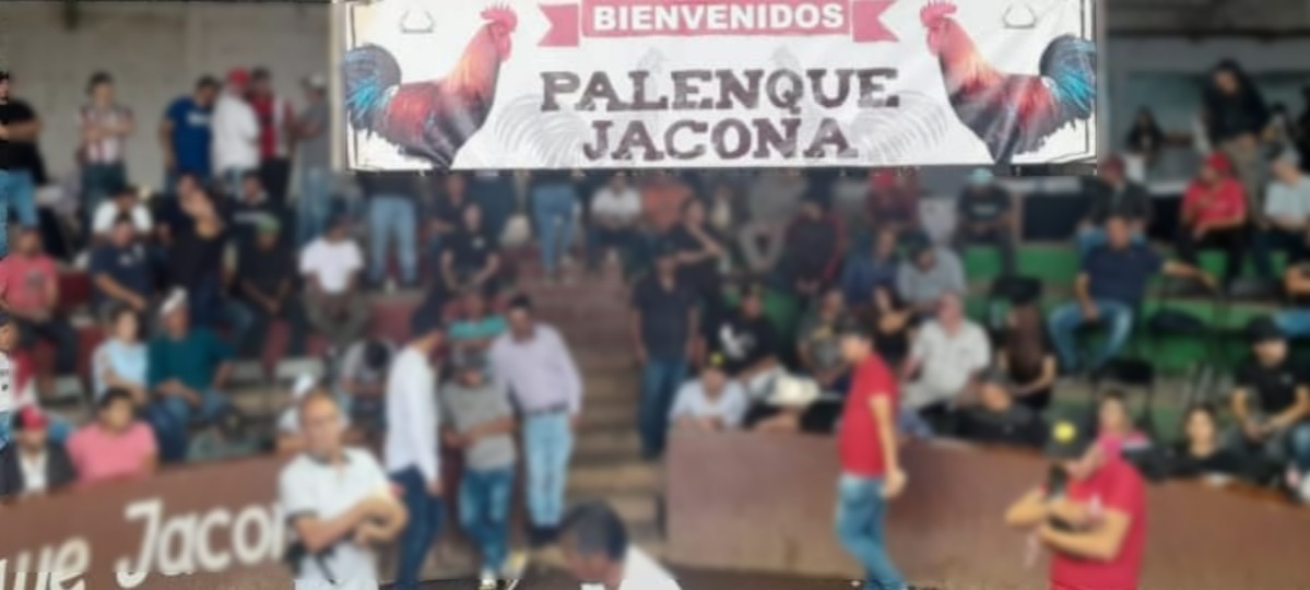 Guardia Civil desactiva palenque clandestino en Jacona