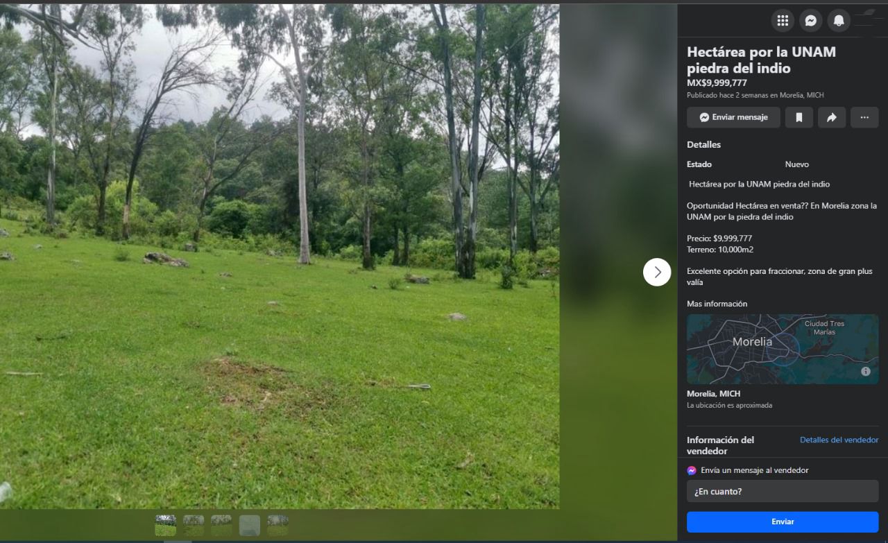 Secma alerta sobre venta ilegal de terrenos en reserva ecológica de Morelia