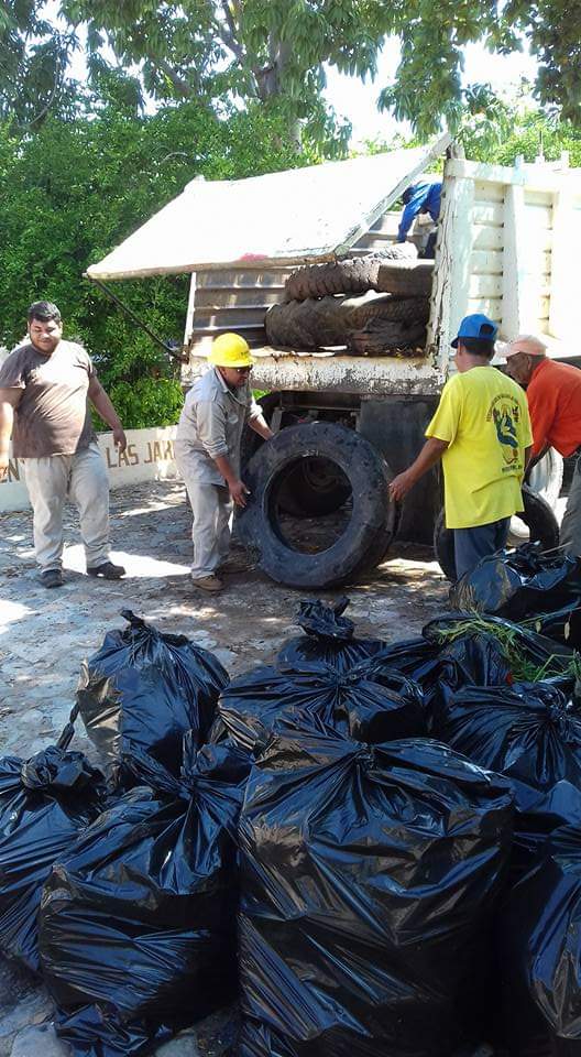 Michoacán por debajo de la media nacional en casos de dengue