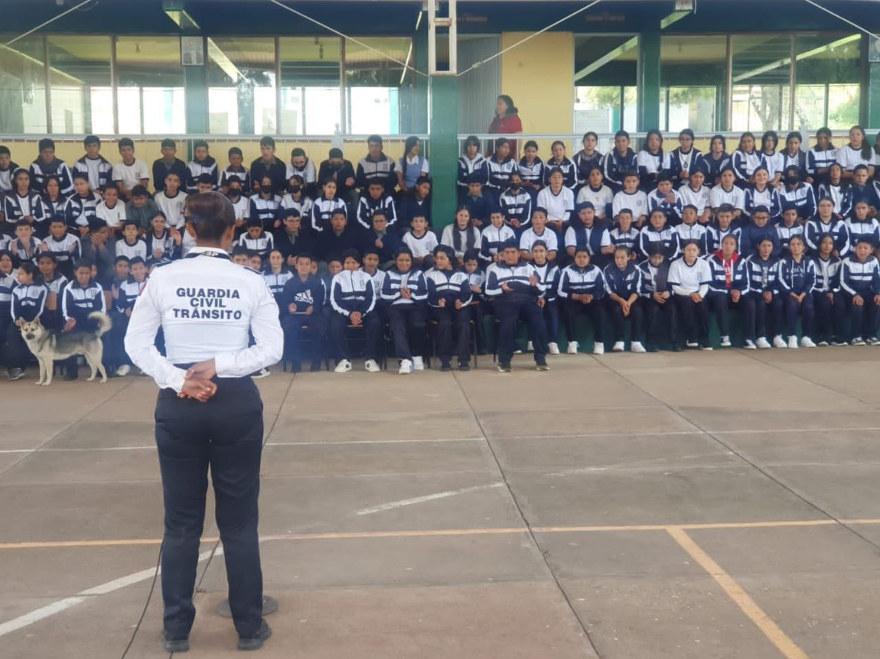 Educación vial, prioridad para Tránsito y Movilidad de la SSP