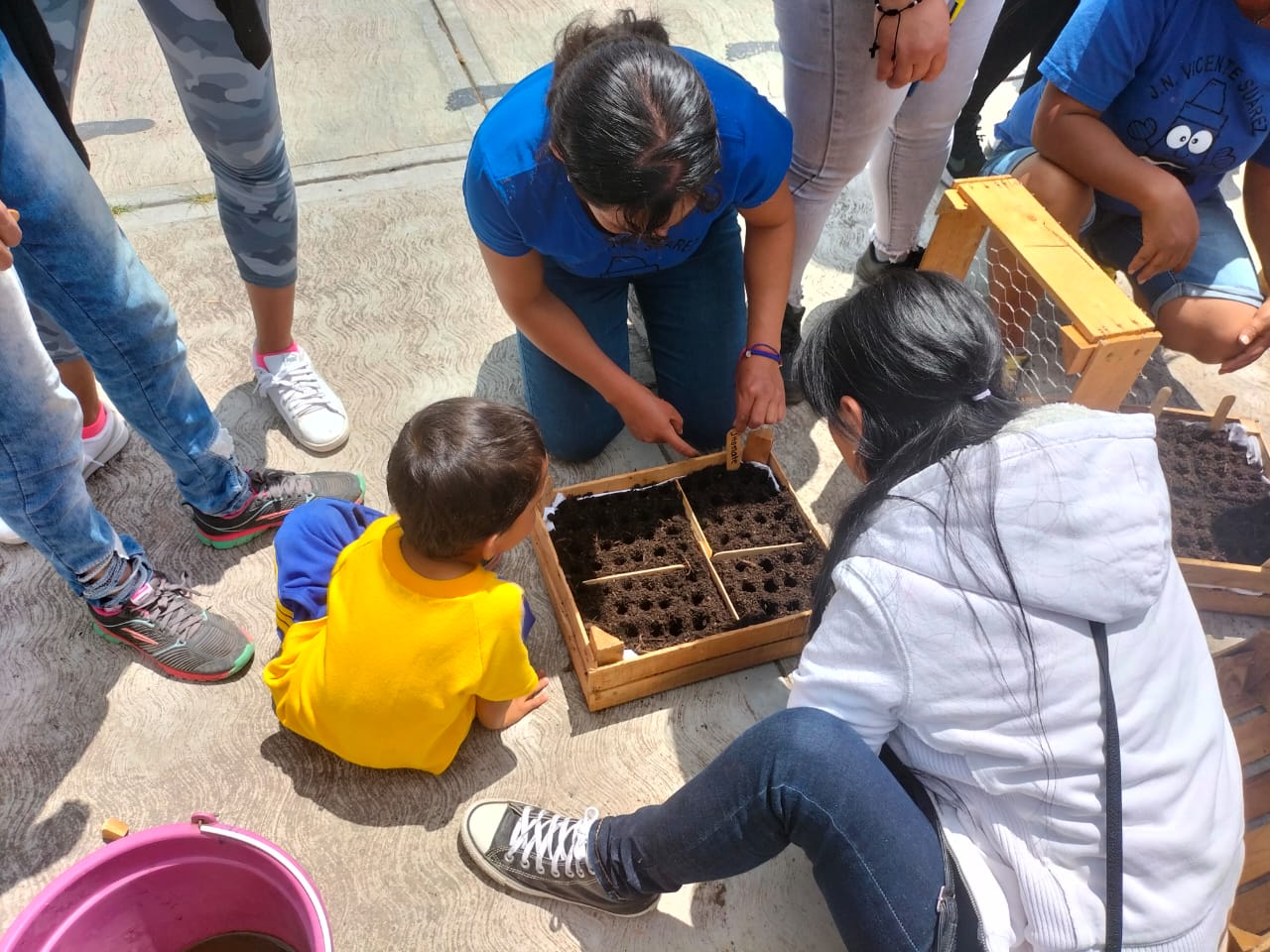 Escuela con premio nacional impulsa proyecto ambiental en Michoacán
