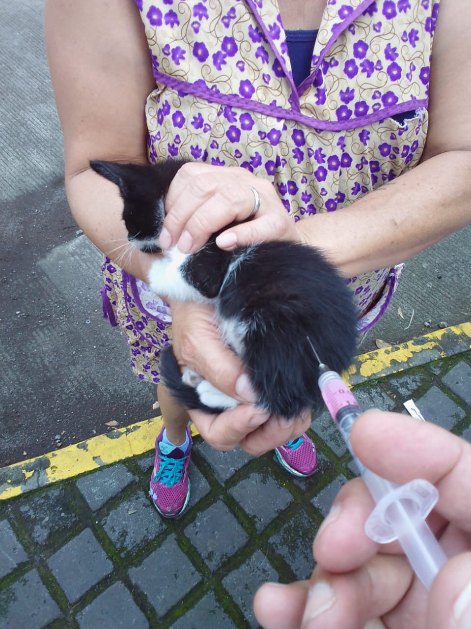 Este jueves, vacunación antirrábica canina y felina en Uruapan.