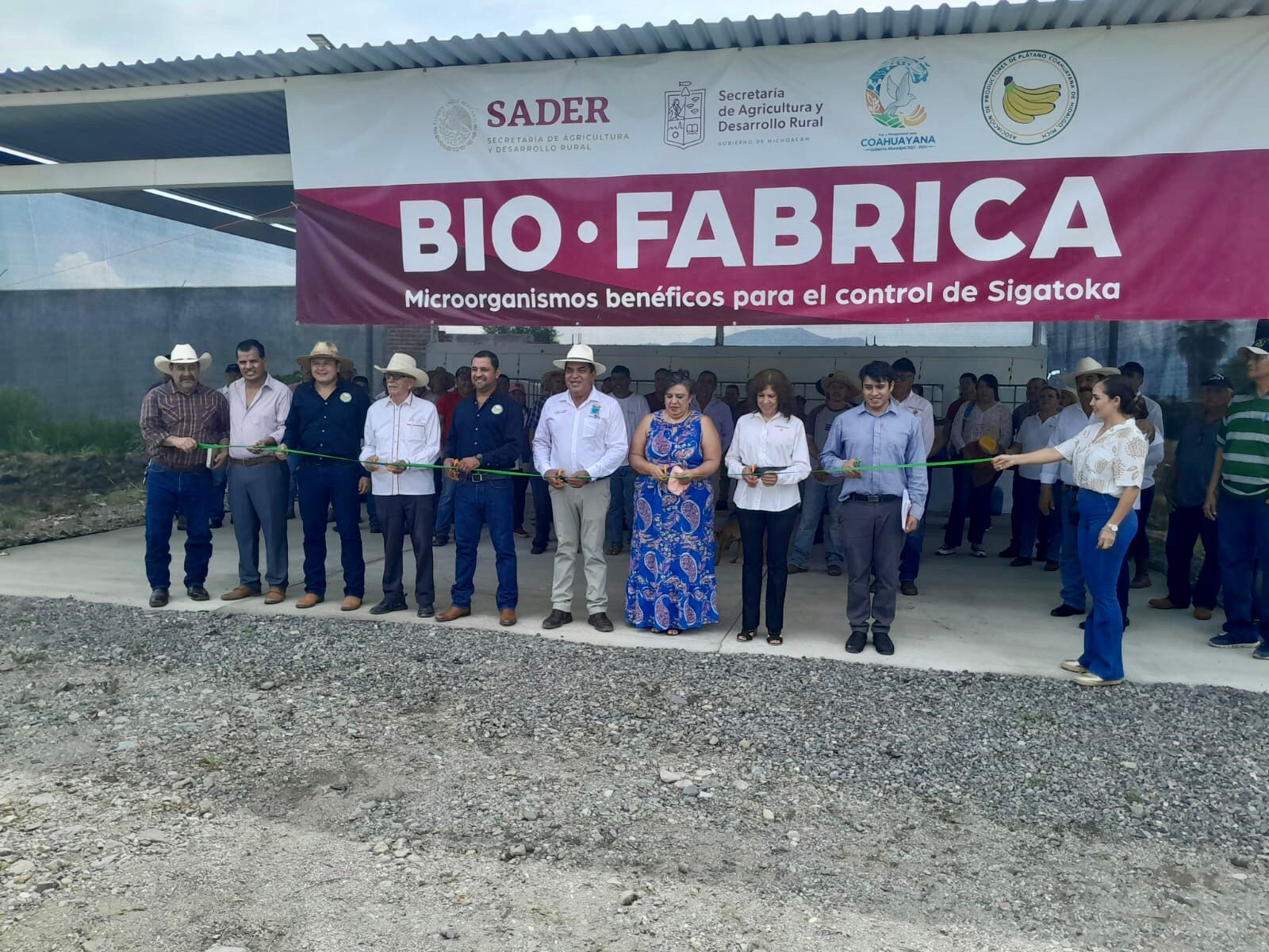 Instalan biofábrica en Coahuayana para proteger cultivos de plátano