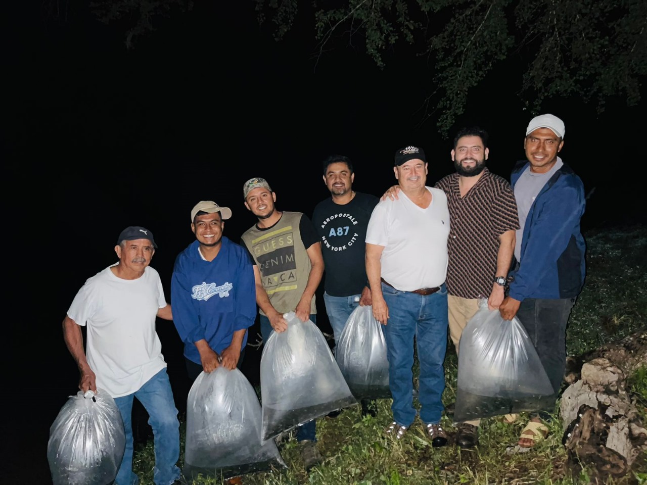 Compesca siembra 30 mil crias de tilapia en cuerpos de agua de Tuzantla.
