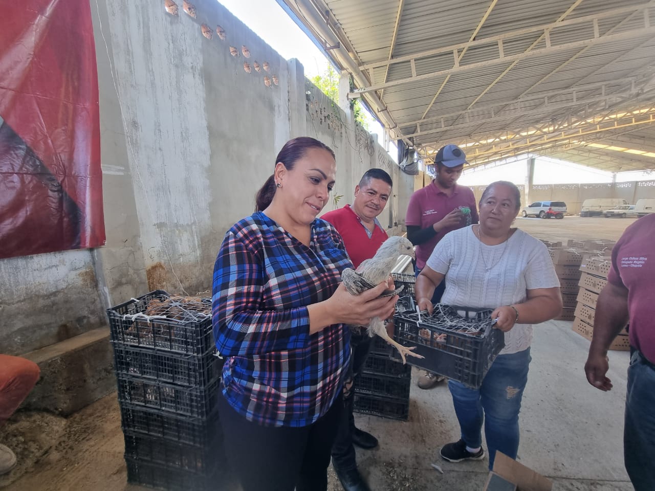 Sader fomenta producción de huevo en familias de comunidades rurales.