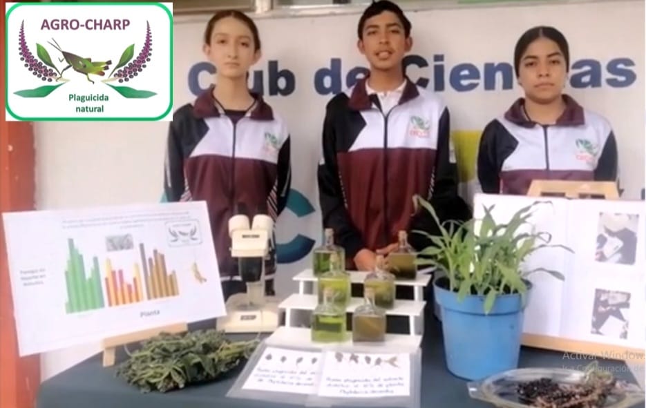Alumnos del Cecytem crean plaguicida natural para combatir chapulín en cultivos.