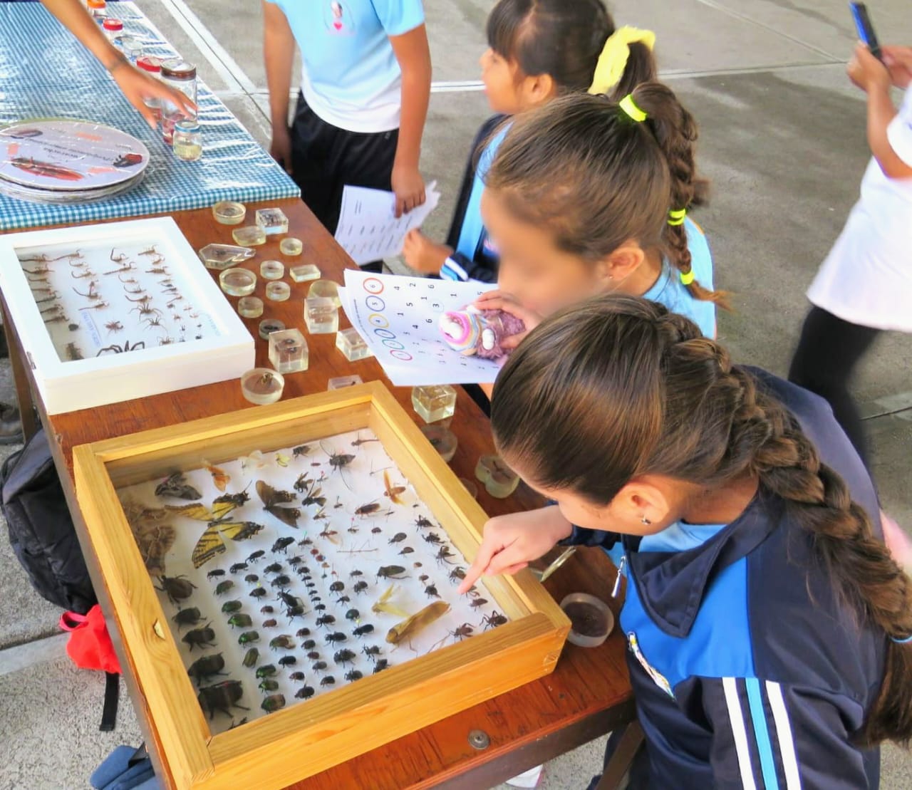 SEE lleva ferias de ciencia a 6 mil alumnos.