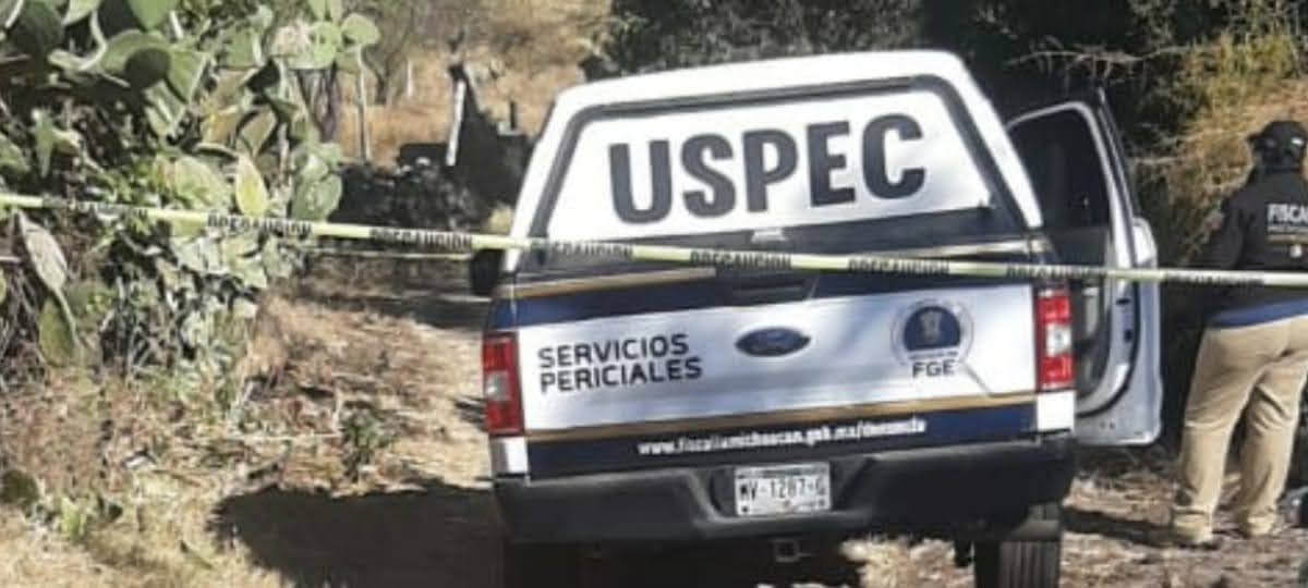 Mujer encontró en su domicilio a un perro que traían en el hocico una mano humana