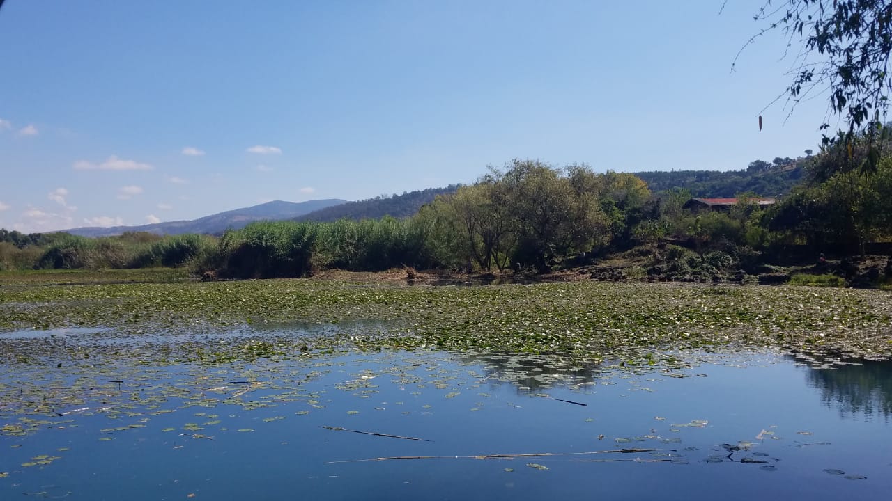Compesca supervisa brigadas de limpieza en el Área Natural Protegida La Mintzita