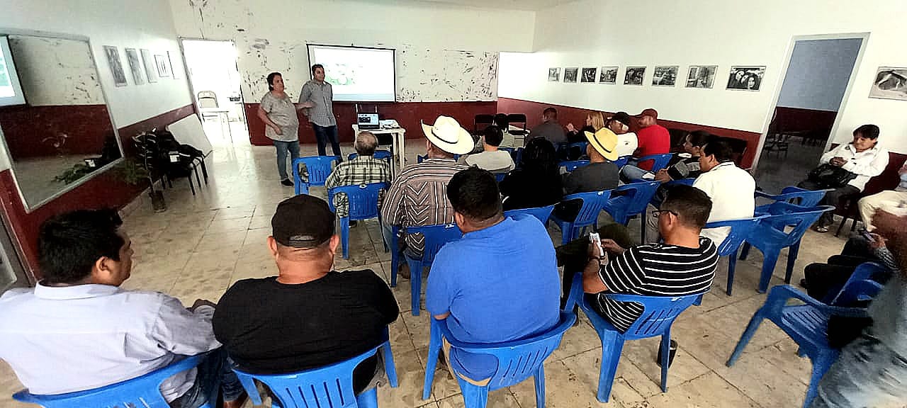Participa Sader en talleres para mejorar suelos en el cultivo del limón
