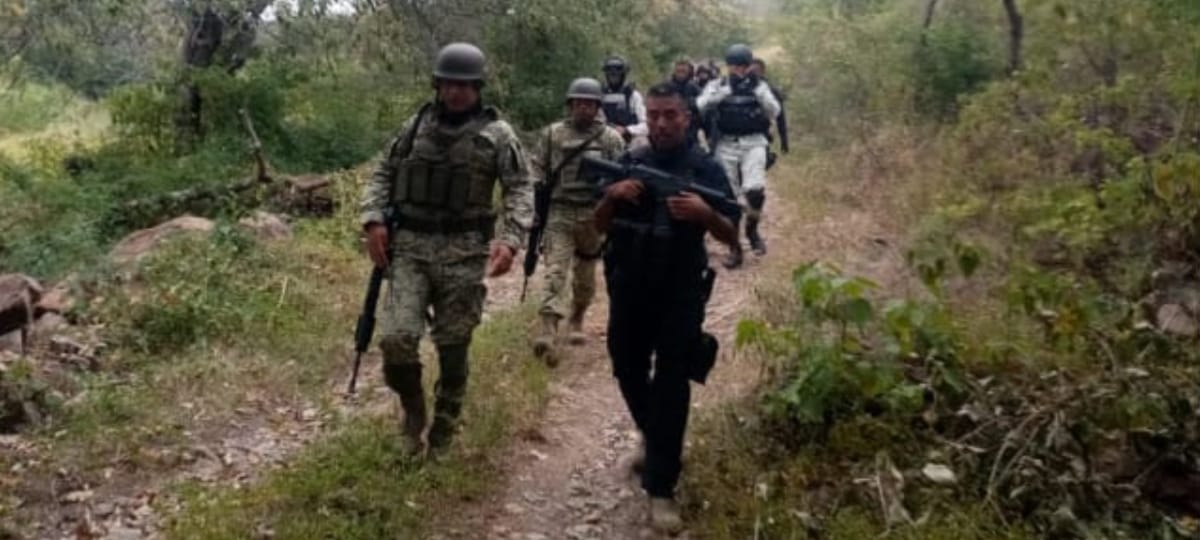 Guardia Civil, Ejército y GN destruyen punto de «halconeo», en Gabriel Zamora