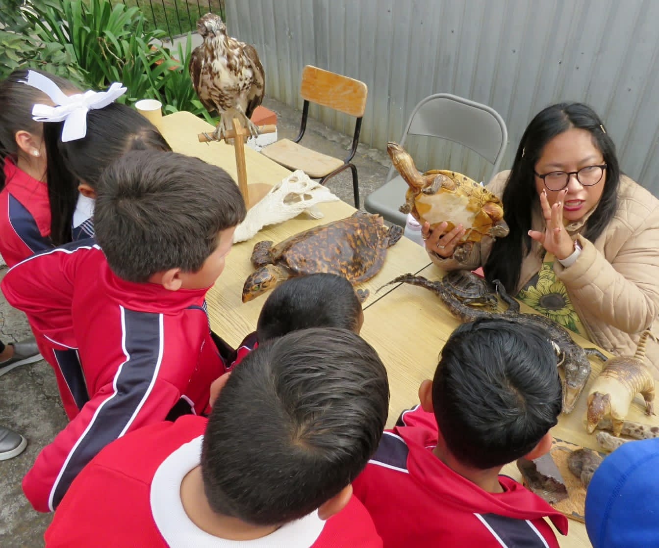SEE acerca ciencia, arte, deportes y tecnología a las escuelas