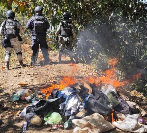 SSP, Sedena y GN desmantelan 2 narcocampamentos en Aquila