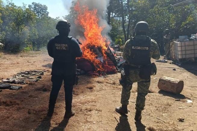 Localizan y destruyen 3 narcocampamentos en Apatzigan