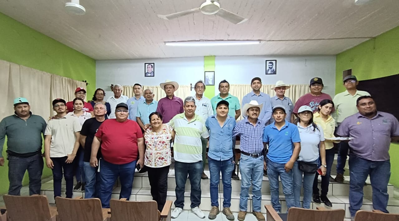 Productores de limón aprenden a mejorar sus suelos y a nutrir sus cultivos