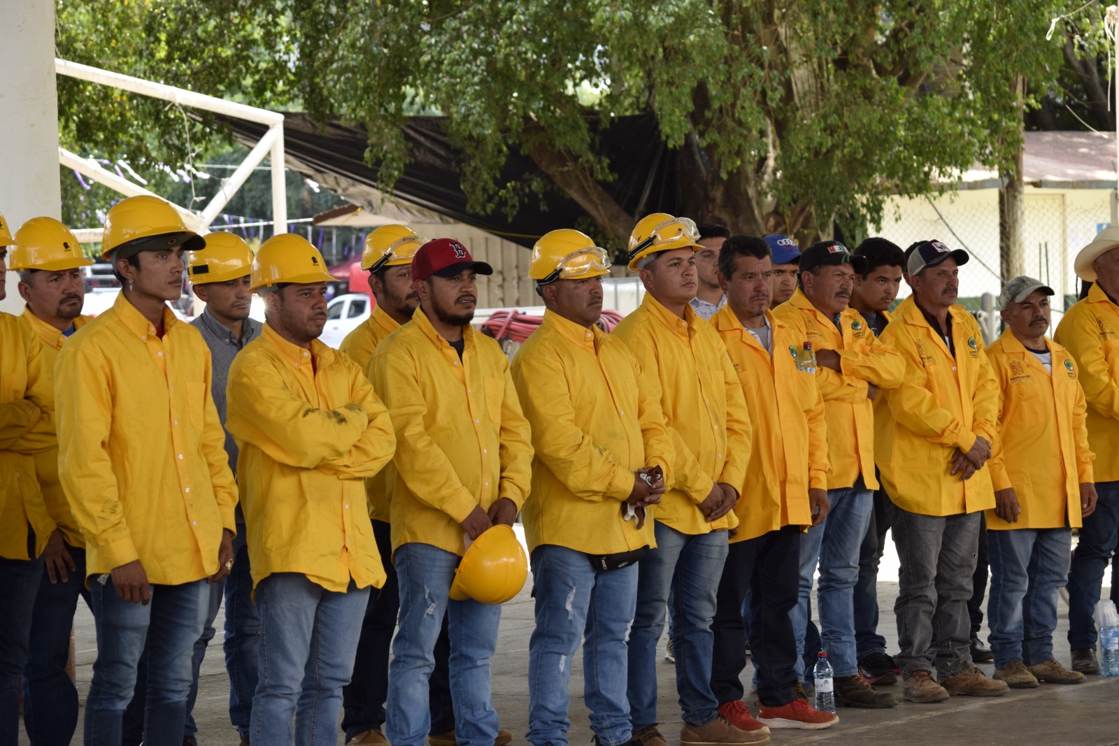 Cofom aumentó 40 % el apoyo económico a brigadistas forestales