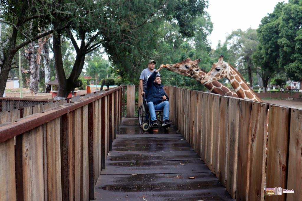 Zoo de Morelia trabaja para mantenerse entre los mejores 10 de Latinoamérica.