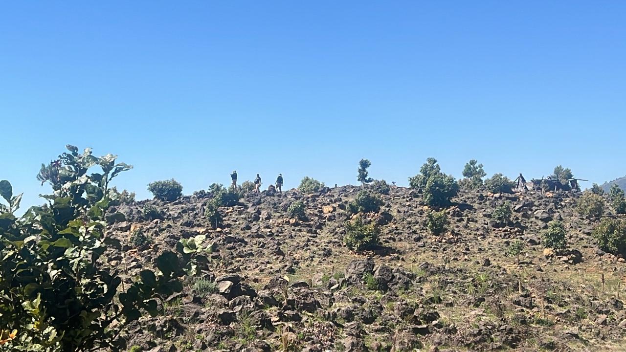 Cumplimenta FGE orden de cateo y asegura predio relacionado en delitos contra el ambiente