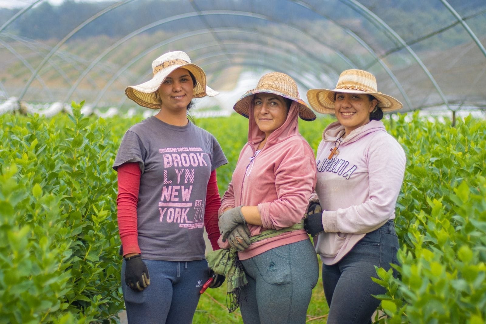 Familias migrantes pueden obtener apoyo de hasta 125 mil pesos para negocio