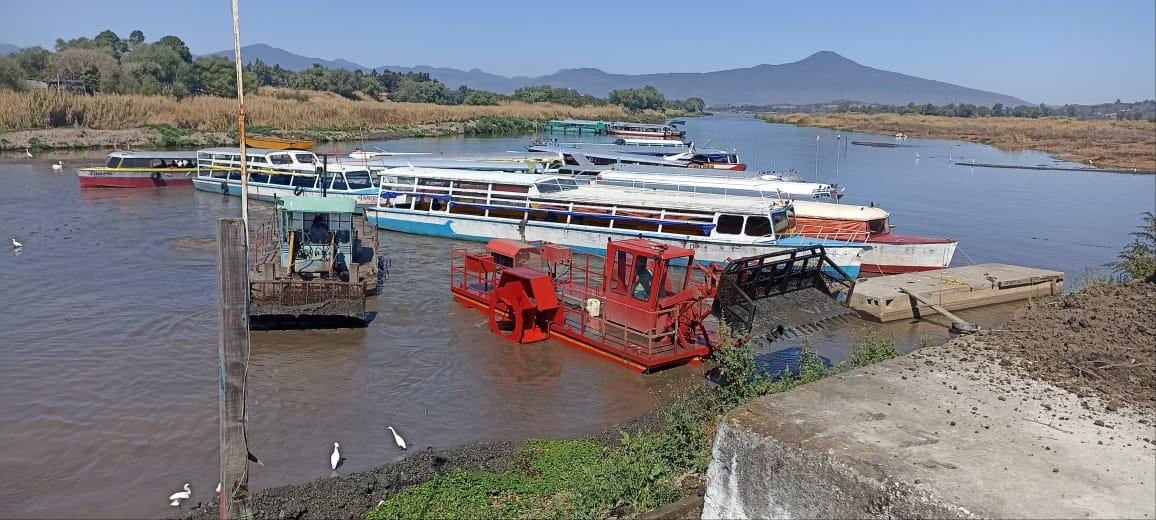 En operación permanente, brigadas de limpieza en el lago de Pátzcuaro: Compesca