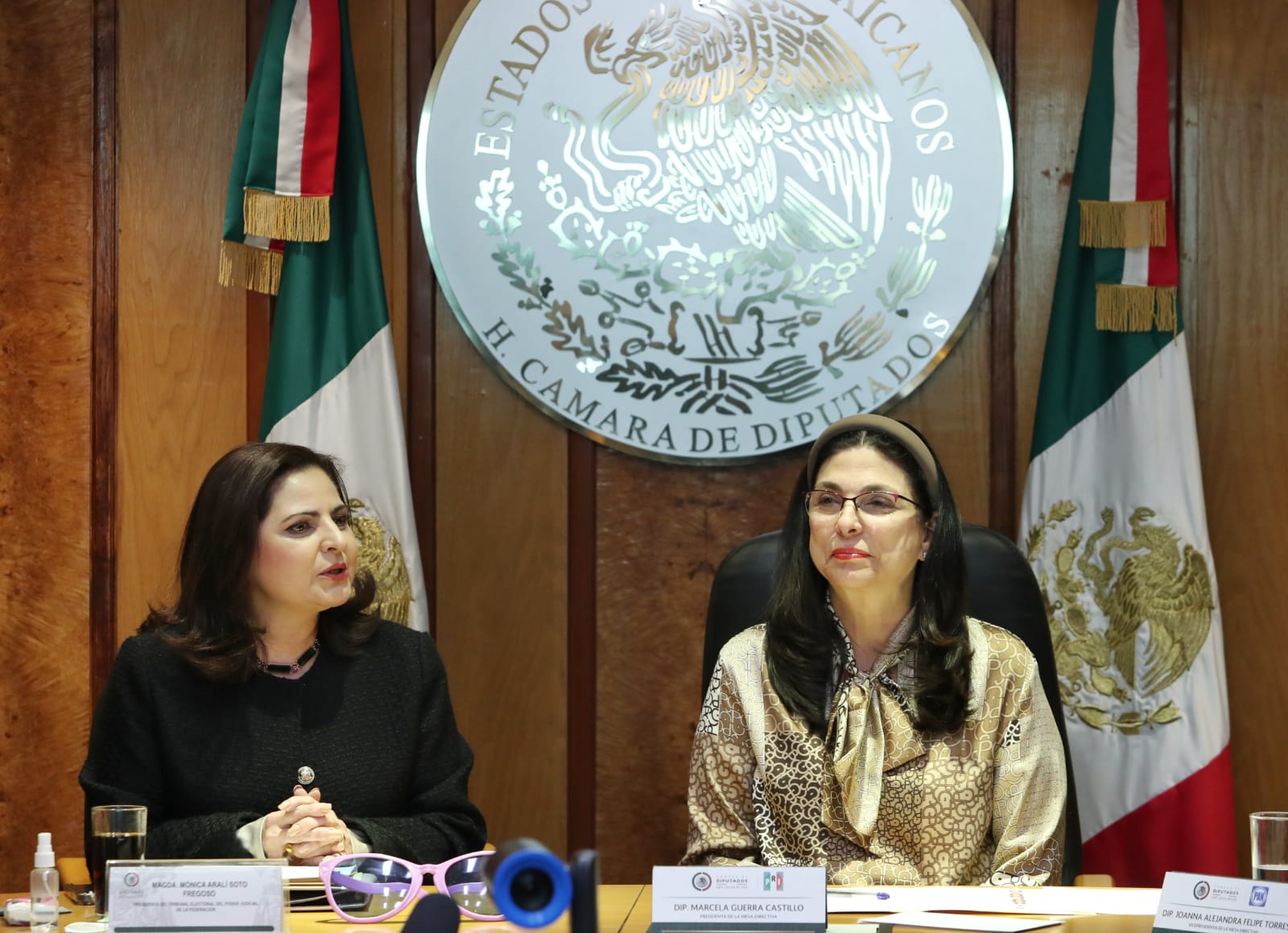 La democracia mexicana tiene un alto estándar a nivel internacional: magistrada presidenta Mónica Soto Fregoso.