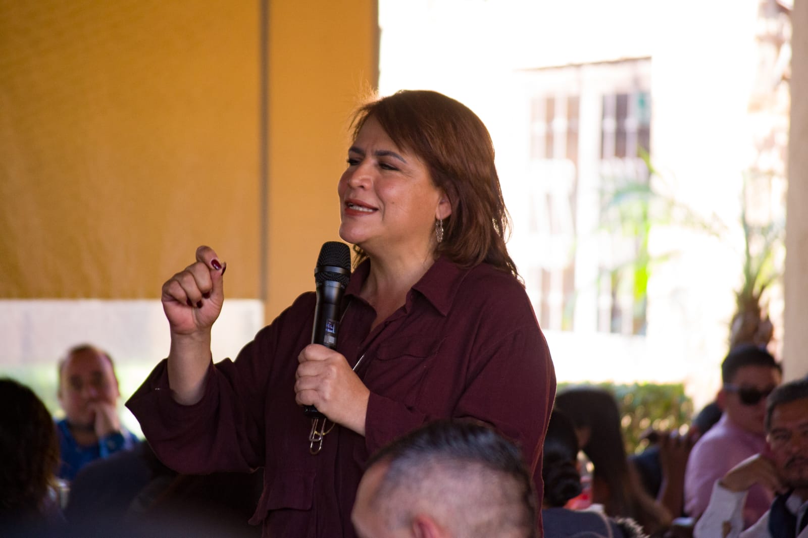 Llama Fabiola Alanís a partidos políticos y al IEM a garantizar la aplicación de la Ley 3 de 3