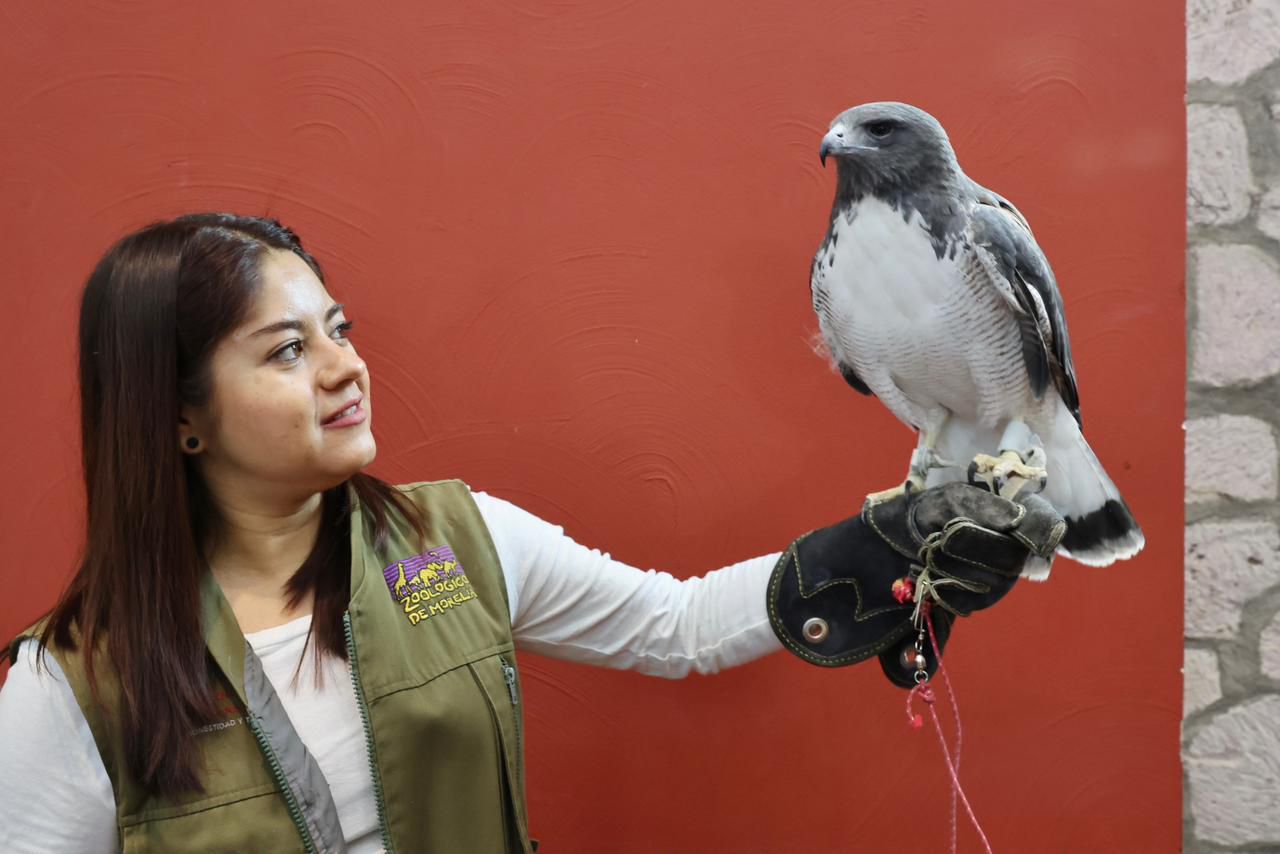 Conoce la oferta de actividades para vacaciones del Zoo de Morelia y el Ceconexpo