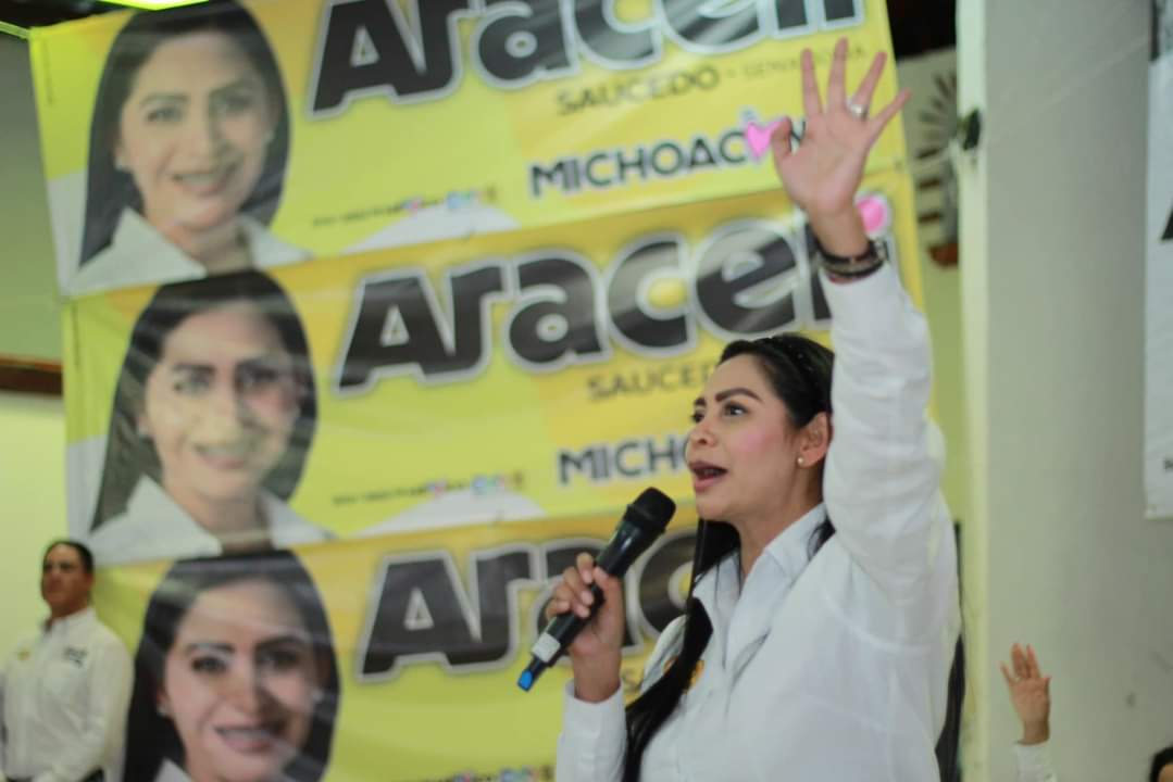 Seguridad, principal palanca de desarrollo para México ¡vamos a lograrla!: Araceli Saucedo