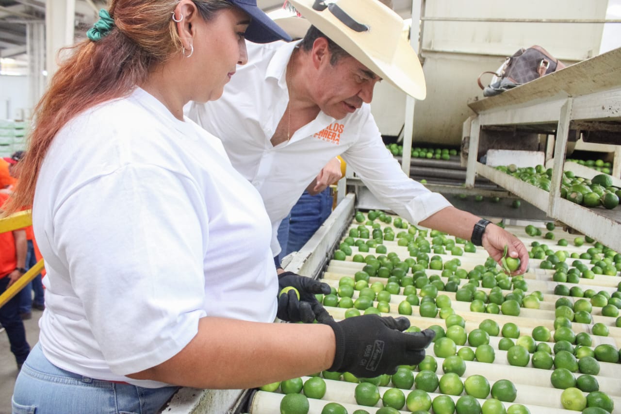 Se reúne Carlos Herrera con limoneros de Apatzingán