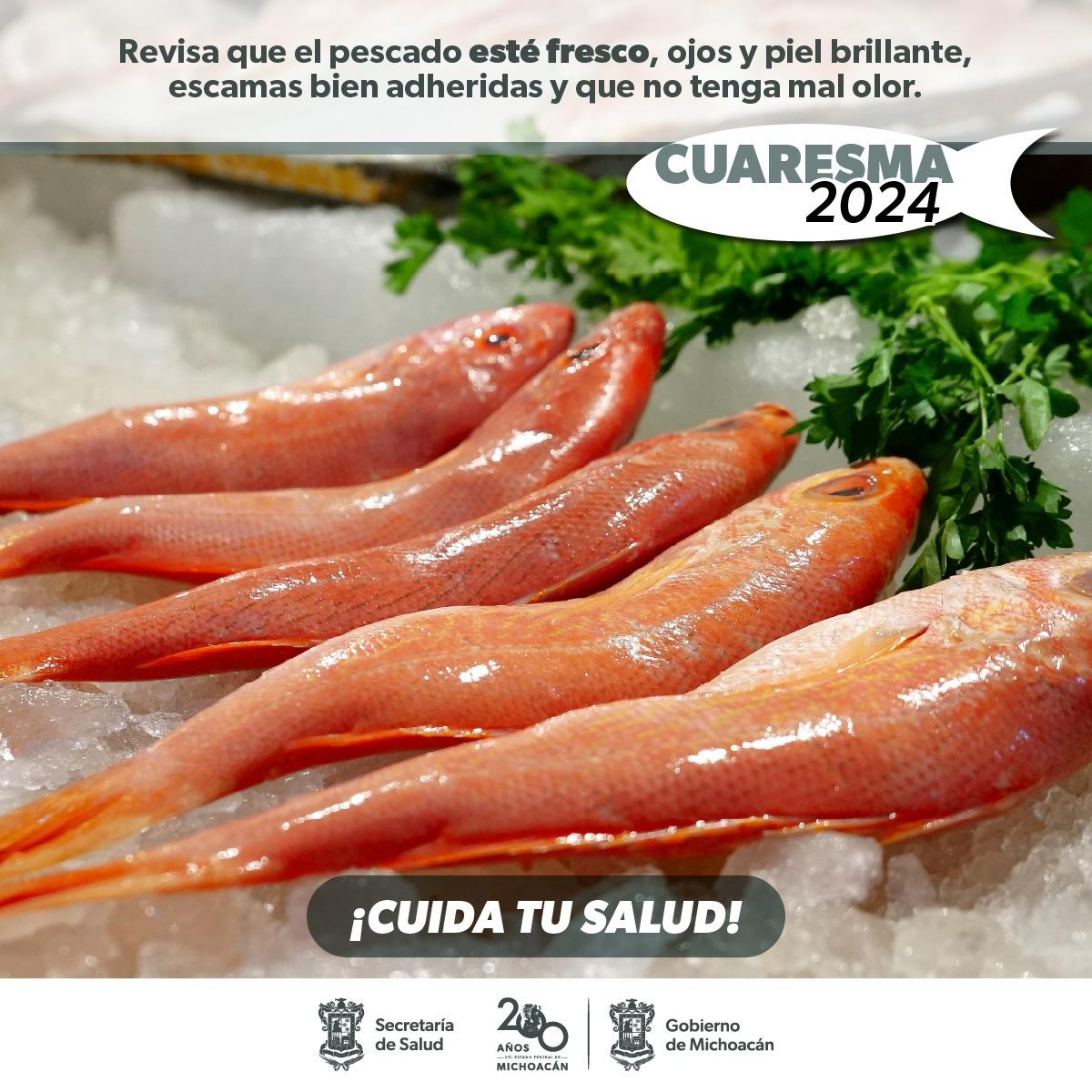 Sigue estos consejos de la SSM para evitar intoxicaciones por pescados y mariscos