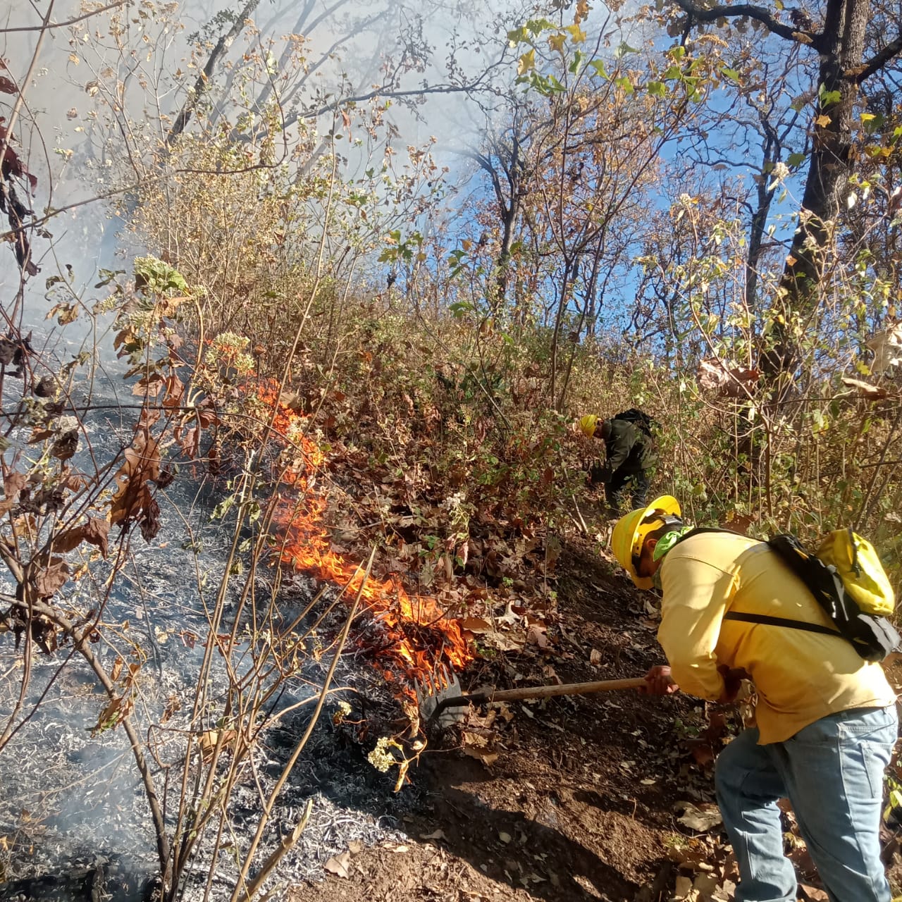 Gracias a la Brigada 467 de la Secretaría de Agronomía y Medio Ambiente se logró mitigar un incendio forestal registrado este día en el Cerro de la Campana, en Aputzio de Juárez.