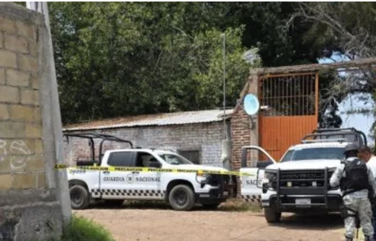 Localizan en una parcela el cadáver de un hombre ejecutado de un balazo en la cabeza