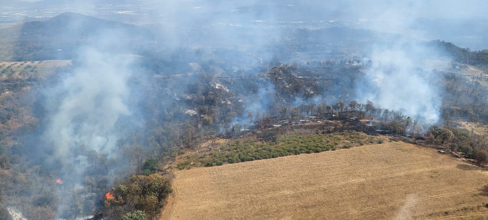 Brigadistas atienden 6 incendios forestales en Michoacán
