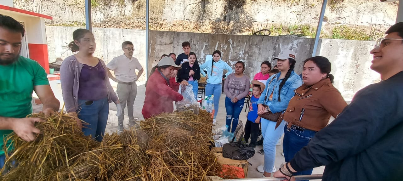 En colegiado microregional de CONAFE imparten curso taller de producción de hongo seta