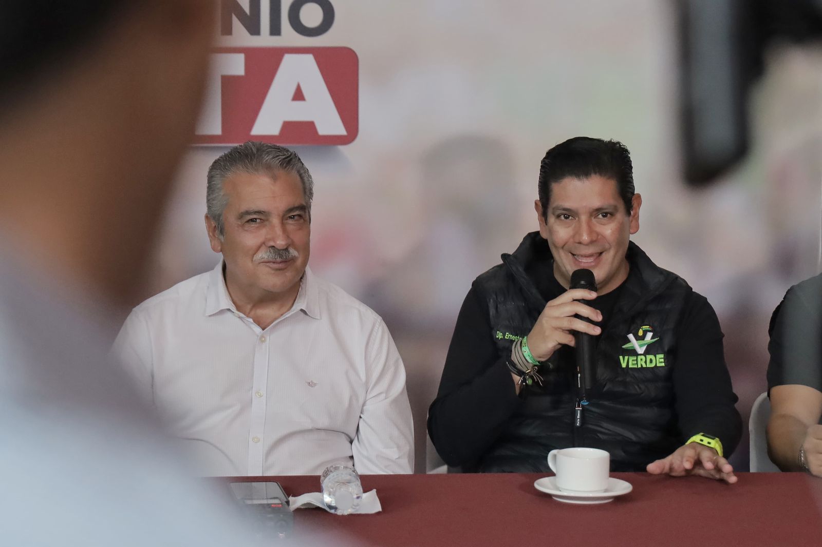 Partido Verde, presente en candidaturas locales de 55 municipios