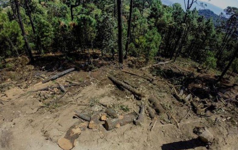 FGR INICIA INVESTIGACIÓN CONTRA QUIEN RESULTE RESPONSABLE POR UN DELITO CONTRA EL AMBIENTE