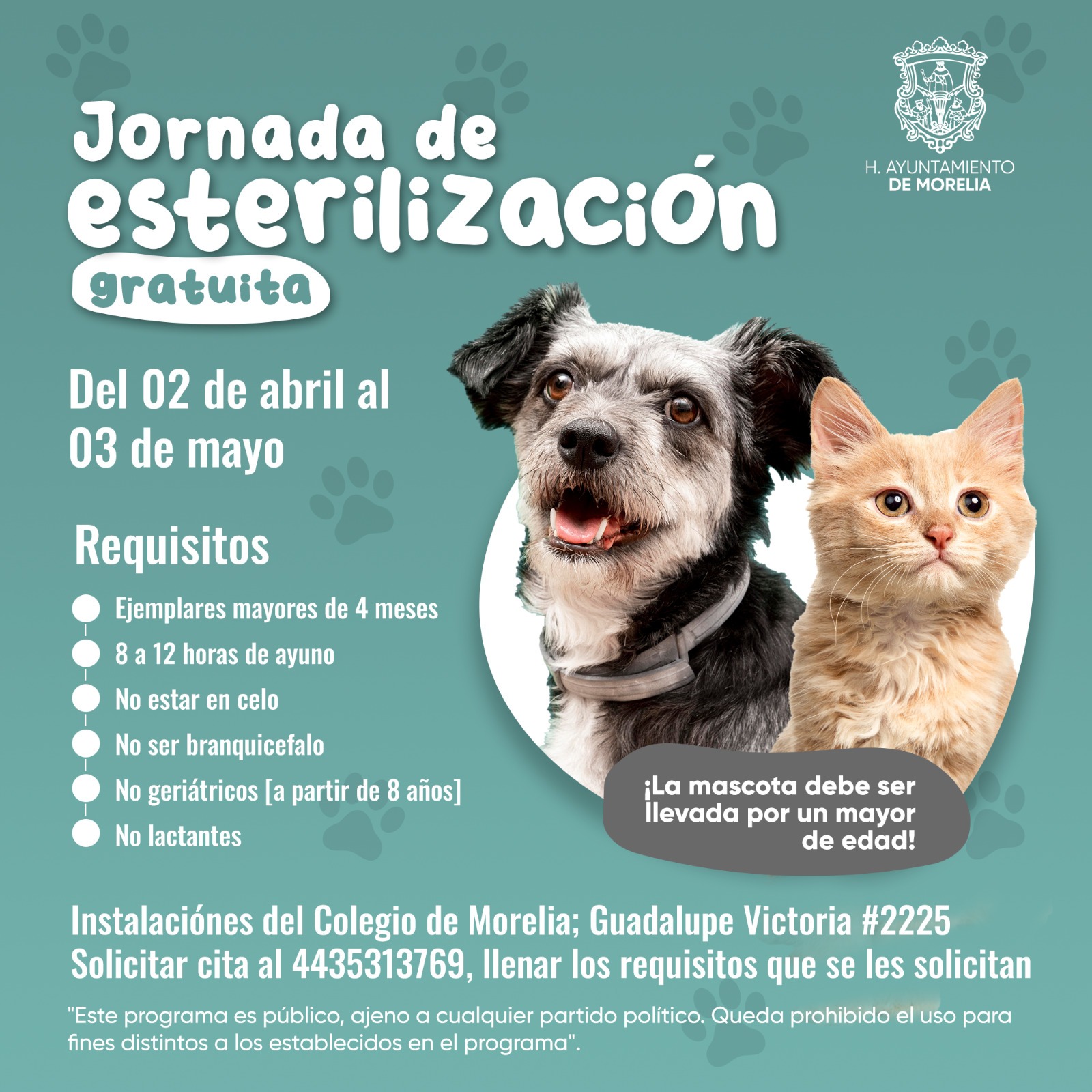 Gobierno de Morelia invita a Jornada de esterilización para mascotas