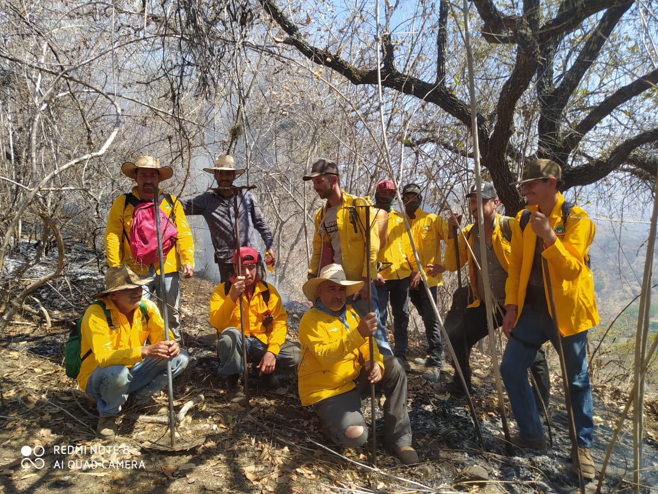 Brigadistas apagan 7 incendios en Michoacán