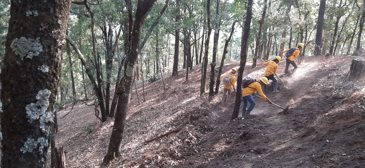 Brigadistas atienden 2 incendios forestales en Coalcomán-Chinicuila y Erongarícuaro