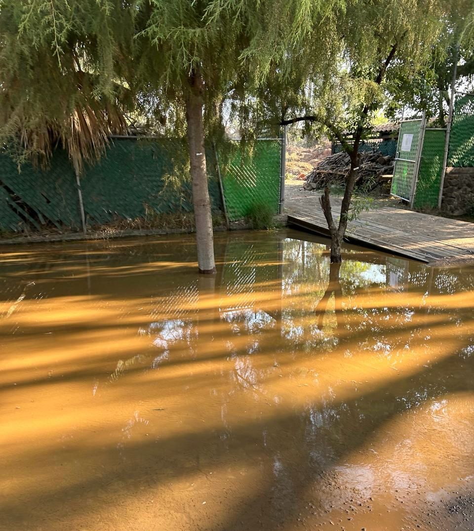 Descarga del OOAPAS inunda la parte norte del Zoo de Morelia; afectados, 50 ejemplares