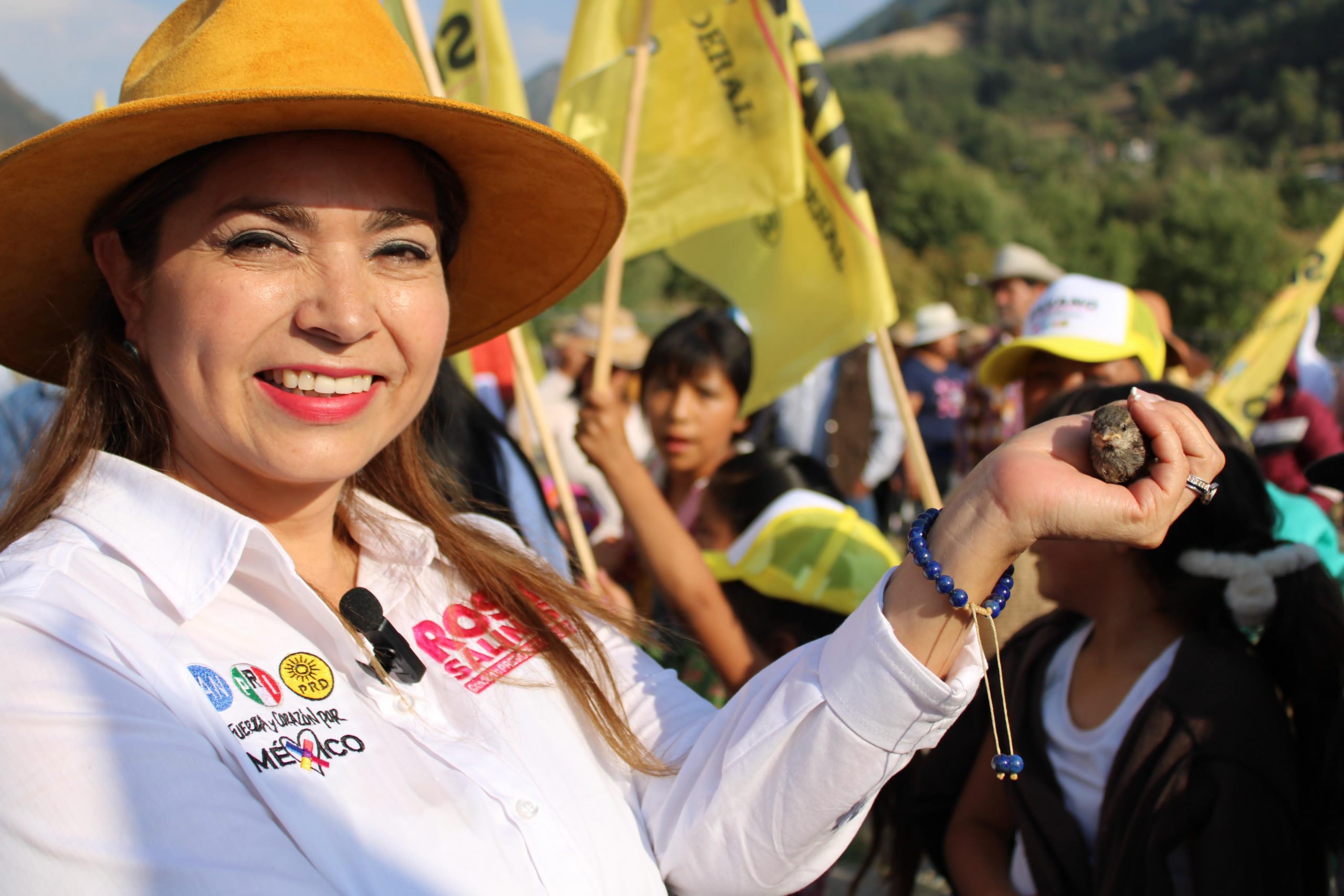 La autoridad municipal no puede ser omisa, cuidar el bosque es tarea de todos: Rosy Salinas
