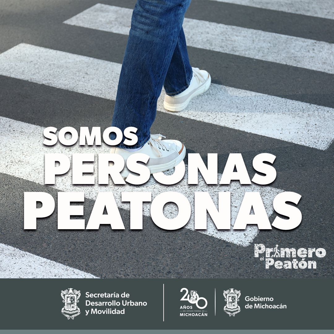 Sistema de movilidad debe garantizar accesibilidad, calidad y suficiencia: Sedum